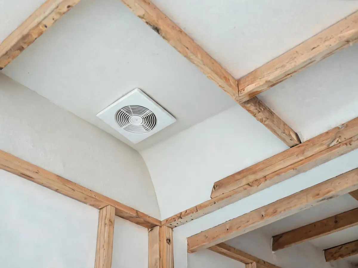 The same ceiling after treatment, clean, dry and repainted