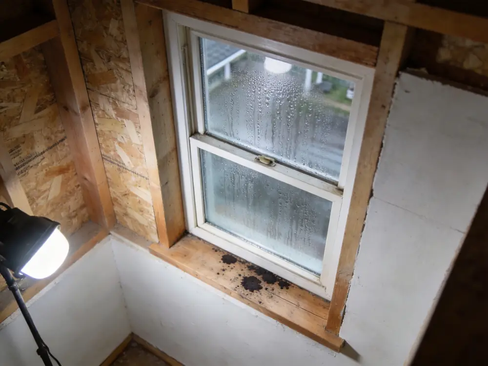 Condensation on a window above a spotted wooden sill