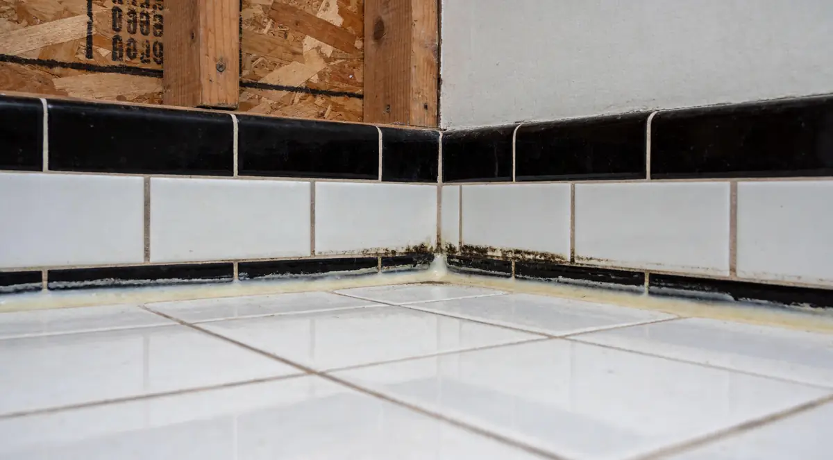 Dark mildew along shower grout lines and silicone bead