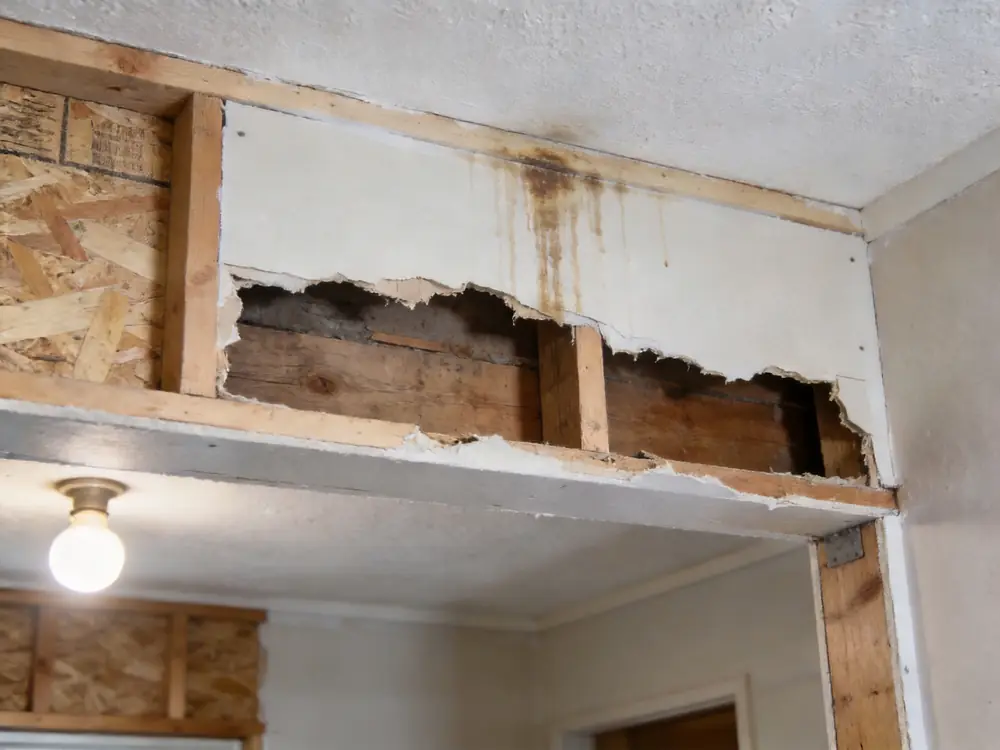 Wall cavity opened to expose staining on the back of the drywall