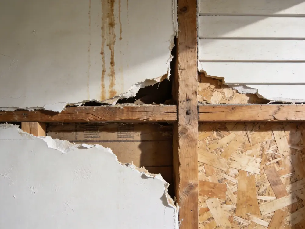 Wall cavity opened to expose staining on the back of the drywall
