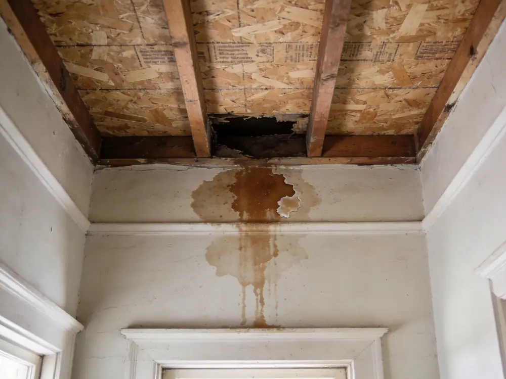 Brown water stain spreading across a ceiling below a leak