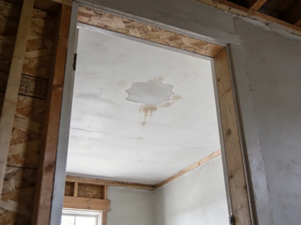 Staining bleeding back through fresh paint on a ceiling