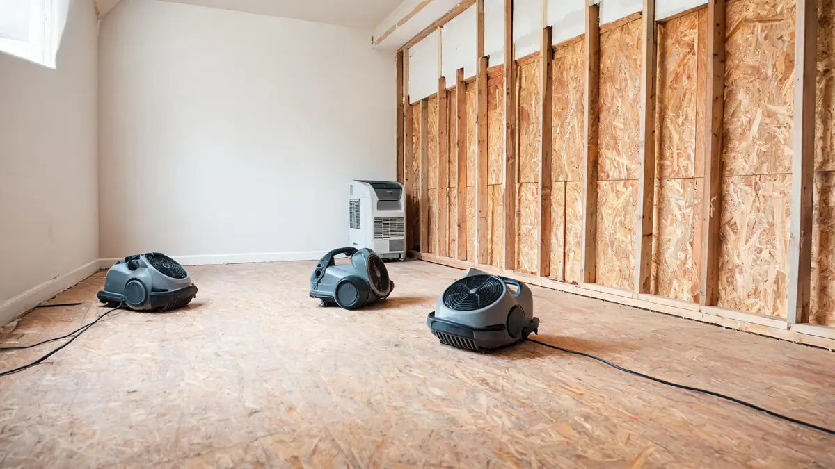 Air movers and a dehumidifier drying a stripped room