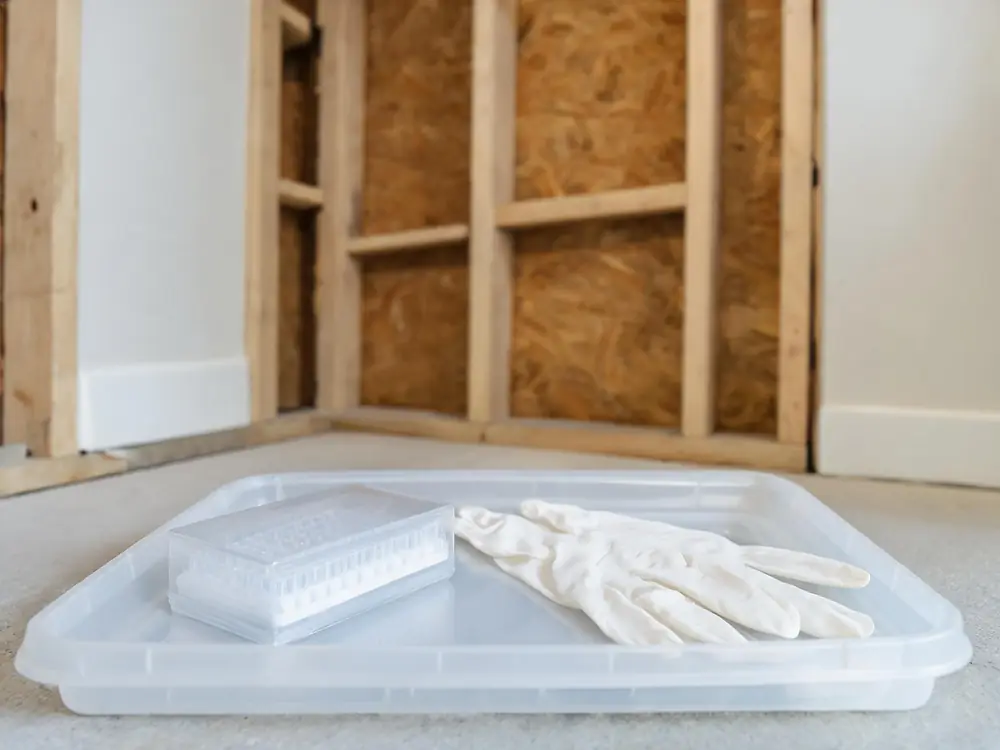 Sealed sample cassette and gloves on a clean tray
