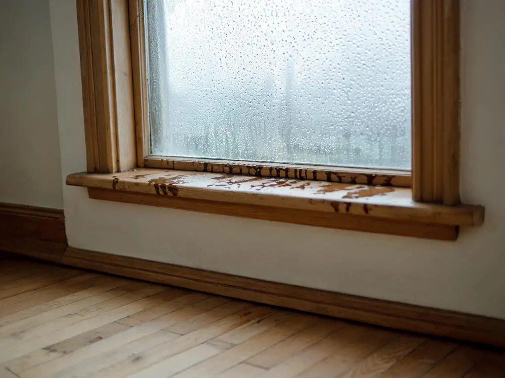 Condensation on a window above a spotted wooden sill