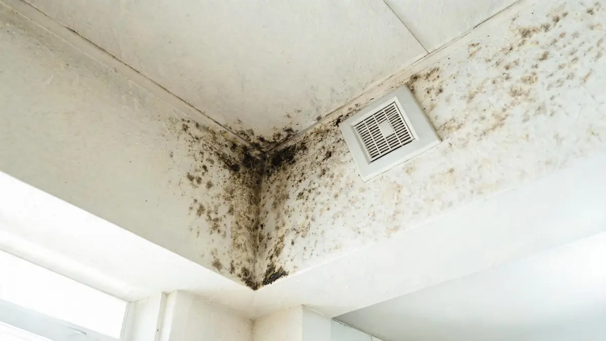 Dark spotting on a bathroom ceiling beside an extractor fan