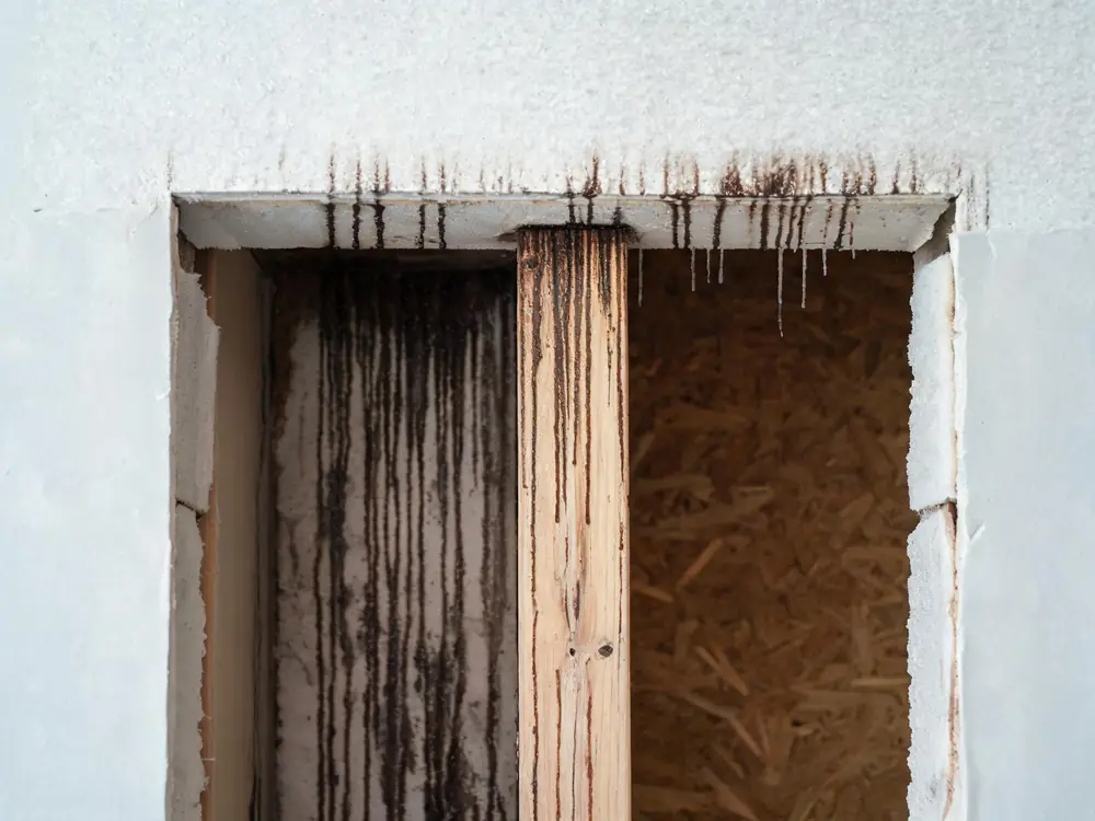 Wall cavity opened to expose staining on the back of the drywall